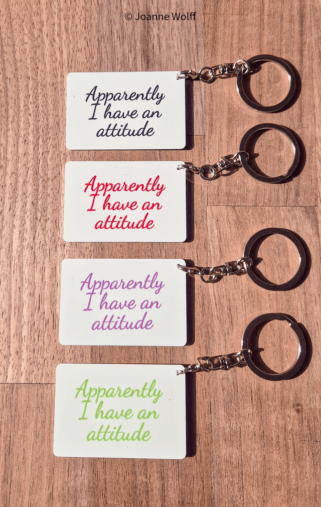 Sarcastic Aluminium Keyrings  