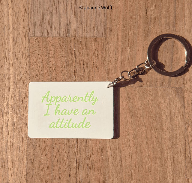 Sarcastic Aluminium Keyrings