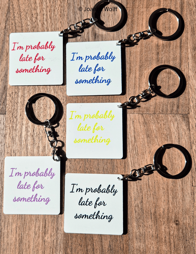 Sarcastic Aluminium Keyrings