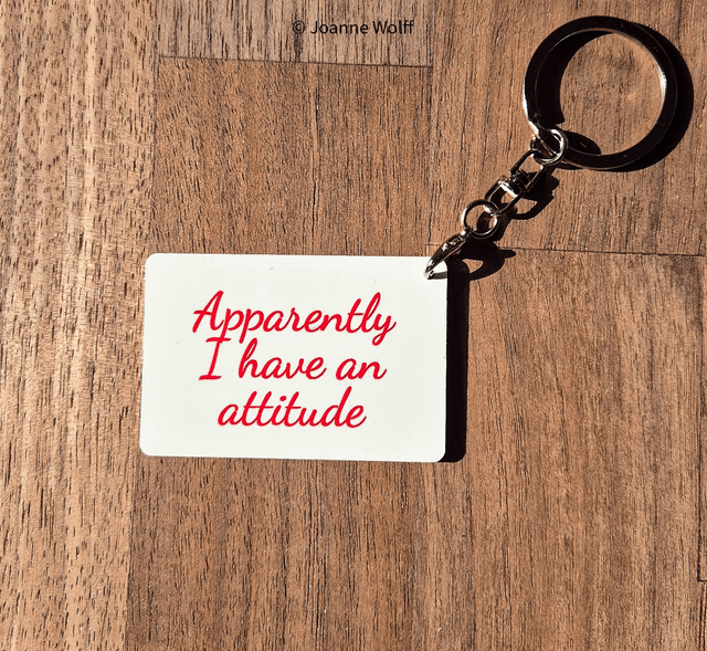 Sarcastic Aluminium Keyrings