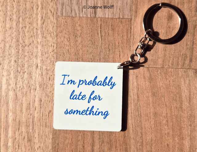 Sarcastic Aluminium Keyrings