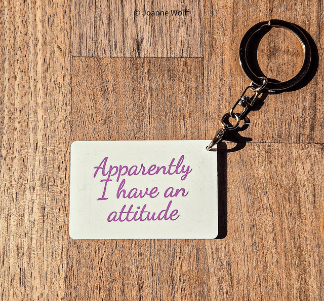 Sarcastic Aluminium Keyrings