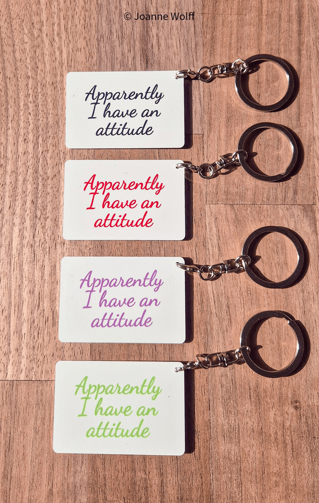 Sarcastic Aluminium Keyrings