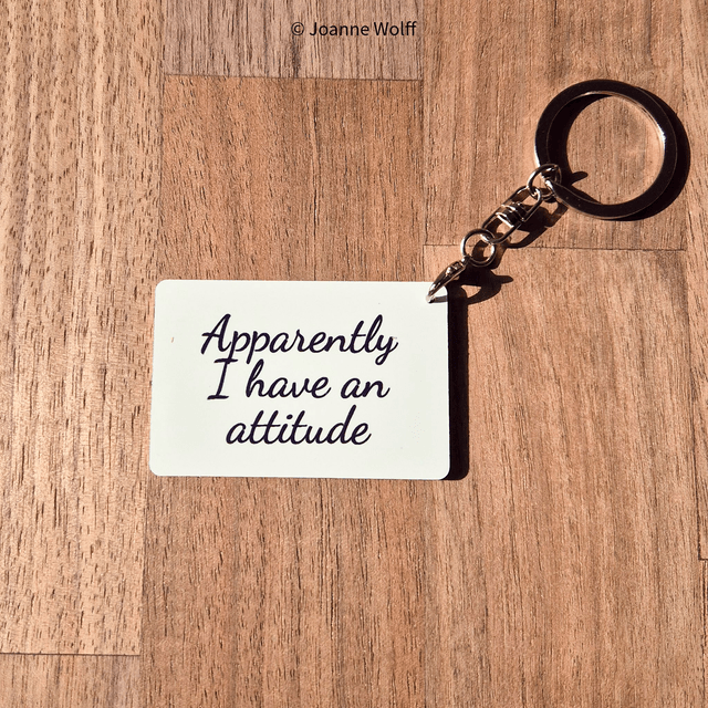 Sarcastic Aluminium Keyrings